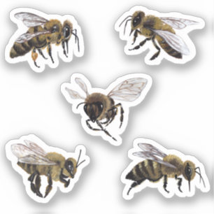 Honey Bees Vinyl Stickers Aufkleber