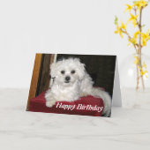 Honey Birthday Card Karte (Gelbe Blume)