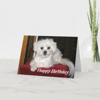 Honey Birthday Card Karte