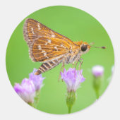 Honey Collector Runder Aufkleber (Vorderseite)