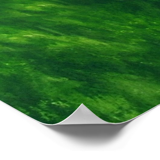 Honey Delight Print Poster (Ecke)