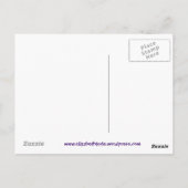 Honey Dew von Elizabeth Kyle Postkarte (Rückseite)