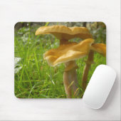 Honey Fungus Mouse Mat Mousepad (Mit Mouse)
