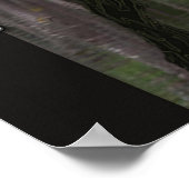 Honey Island Swamp Monster A Louisiana Legende Poster (Ecke)