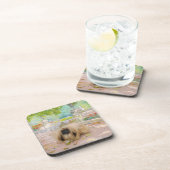 Honey Pekingese in Floral Setting Getränkeuntersetzer (Rechte Seite)