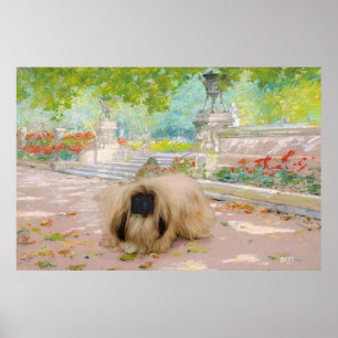 Honey Pekingese in Floral Setting Poster