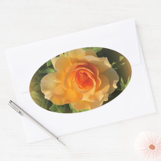 Honey Perfume Rose Stickers (Umschlag)