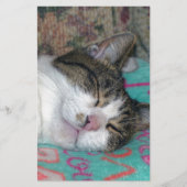 Honey Sleeping Briefpapier (Vorderseite)