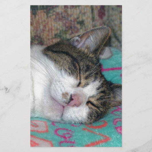 Honey Sleeping Briefpapier (Vorderseite)