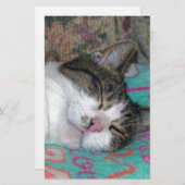 Honey Sleeping Briefpapier (Vorne/Hinten)