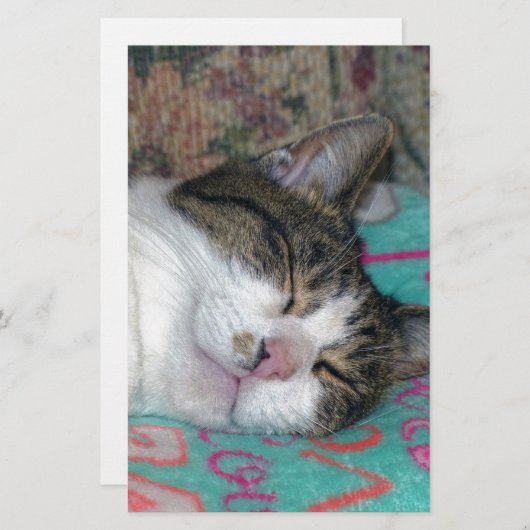 Honey Sleeping Briefpapier (Vorne/Hinten)