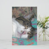 Honey Sleeping Briefpapier (Stehend Vorderseite)