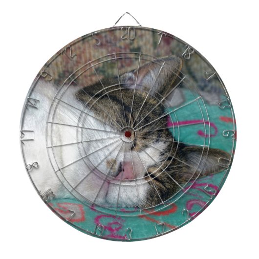 Honey Sleeping Dartscheibe (vorne)