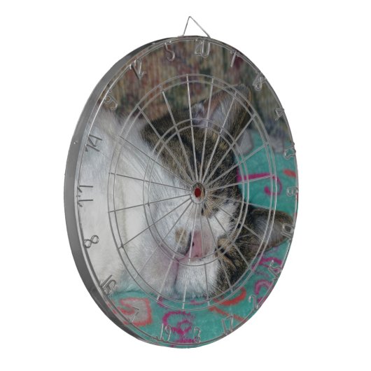 Honey Sleeping Dartscheibe (Vorderseite Links)