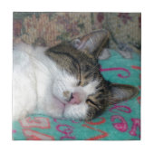 Honey Sleeping Fliese (Vorderseite)