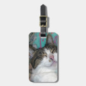 Honey Sleeping Gepäckanhänger (Vorderseite vertikal)