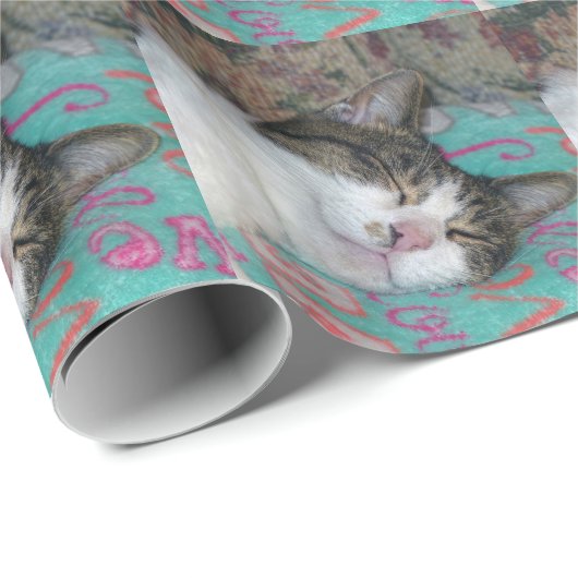 Honey Sleeping Geschenkpapier (Rolleneckpunkt)