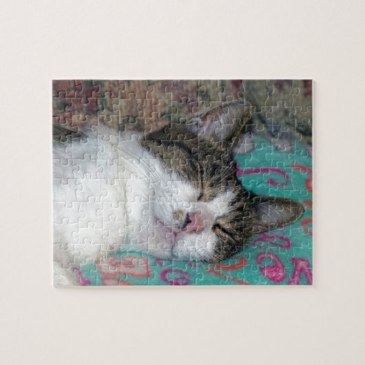 Honey Sleeping Puzzle (Horizontal)