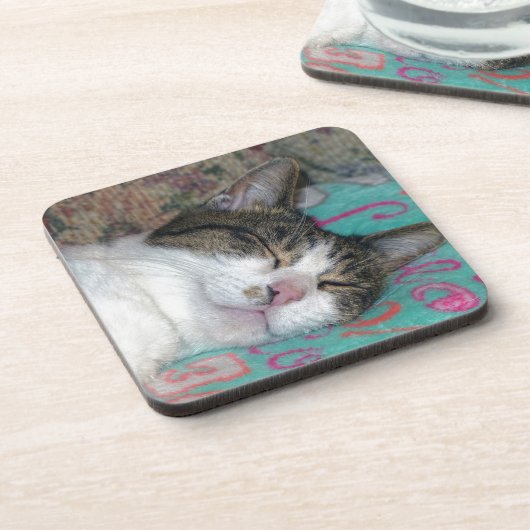 Honey Sleeping Untersetzer (Linke Seite)