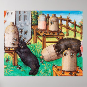 HONEY THIEF BEARS, BIES, BEE NIMMT mittelalterlich Poster