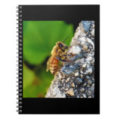 Honeybee 6.5x8.75 Spiral-Notebook Notizblock (Vorderseite)