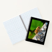 Honeybee 8.5x11 Notebook Notizblock (Innenseite)