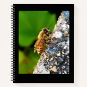 Honeybee 8.5x11 Notebook Notizblock (Vorderseite)