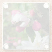 Honeybee & Apple Blossom | Fine Art Glass Coasters Glasuntersetzer (Rückseite)