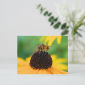 Honeybee - Das Zentrum der Aufmerksamkeit Postkarte (Stehend Vorderseite)