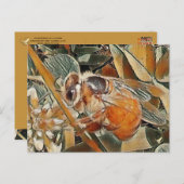 HONEYBEE IN CLOVER - POSTCARD POSTKARTE (Vorne/Hinten)