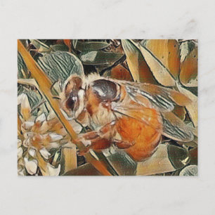 HONEYBEE IN CLOVER - POSTCARD POSTKARTE