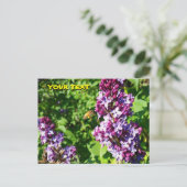 Honeybee Lieben Lilacs Postkarte (Stehend Vorderseite)