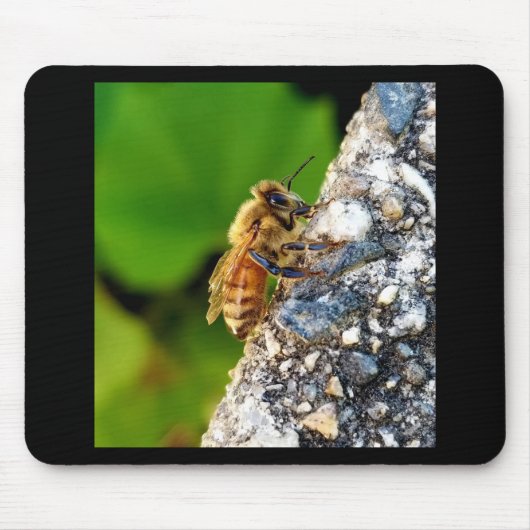 Honeybee Mousepad (Vorne)