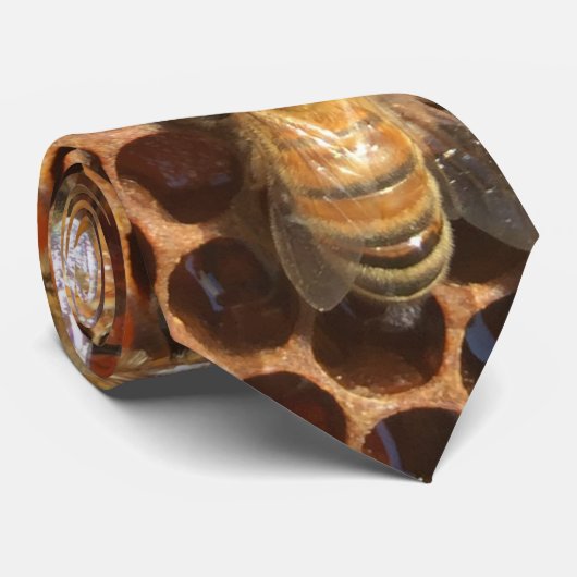HoneyBee Neck Tie Krawatte (Gerollt)
