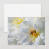 Honeybee on a Dahlia Postcard Postkarte (Vorne/Hinten)