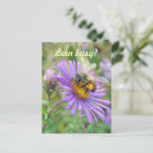 Honeybee on Asters Quick "Hi" Postkarte (Stehend Vorderseite)