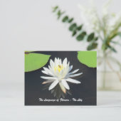 HoneyBee on Water Lily Postkarte (Stehend Vorderseite)