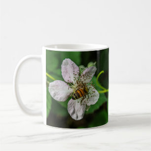 Honeybee Pollinates eine BlackBerry Blume Tasse