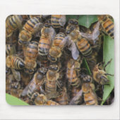 Honeybee Swarm Mousepad (Vorne)