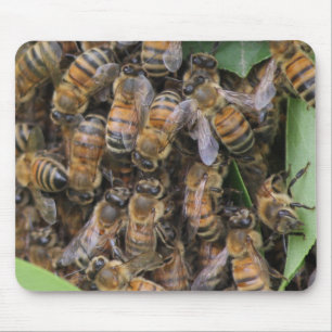 Honeybee Swarm Mousepad
