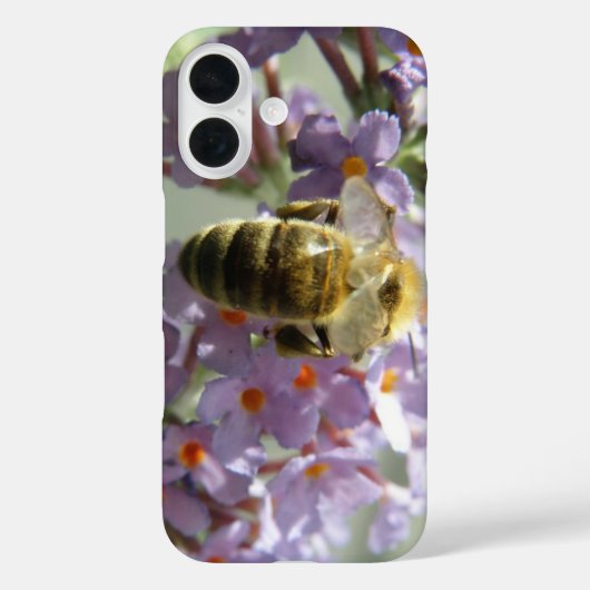 Honeybee und Buddleia Blume iPhone Case (Rückseite)