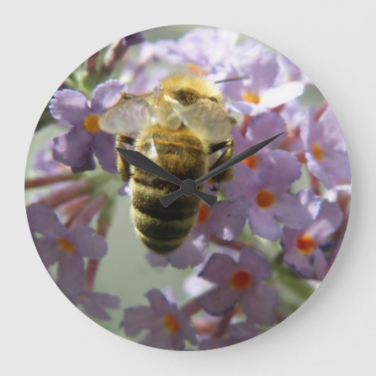 Honeybee und Buddleia Blume Wall Clock Große Wanduhr (Vorderseite)