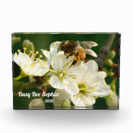 Honeybee & White Plum Macro | Custom Photo Block