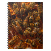 HONEYBEES 7 NOTIZBLOCK (Vorderseite)