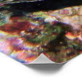 Honeycomb Grouper Poster (Ecke)