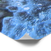 Honeycomb Grouper Poster (Ecke)