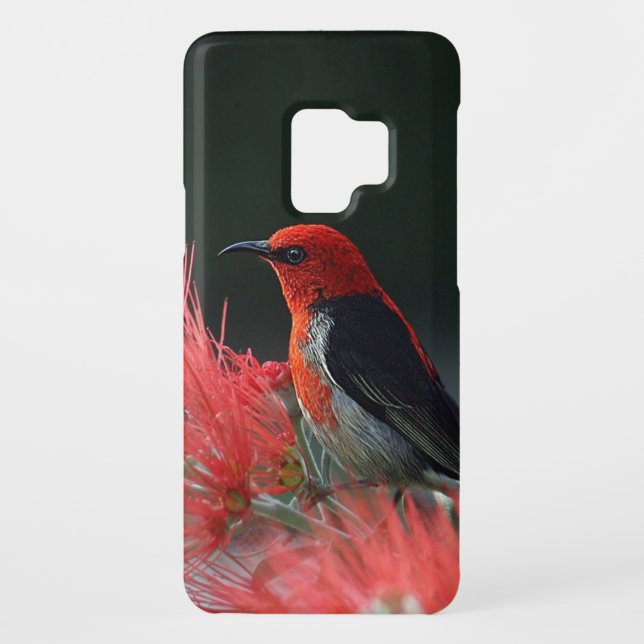 Honeyeater-Foto Case-Mate Samsung Galaxy Hülle (Rückseite)