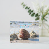 Honeymoon Island, Florida Beach Seashell Postkarte (Stehend Vorderseite)