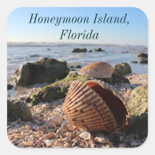 Honeymoon Island Florida Beach Seashell Quadratischer Aufkleber (Vorderseite)