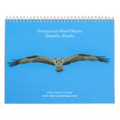 Honeymoon Island Osprey 2026 Kalender (Titelbild)